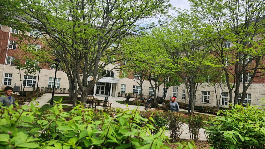 Landscaping in Bryans Road