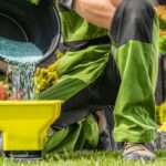 fertilization services