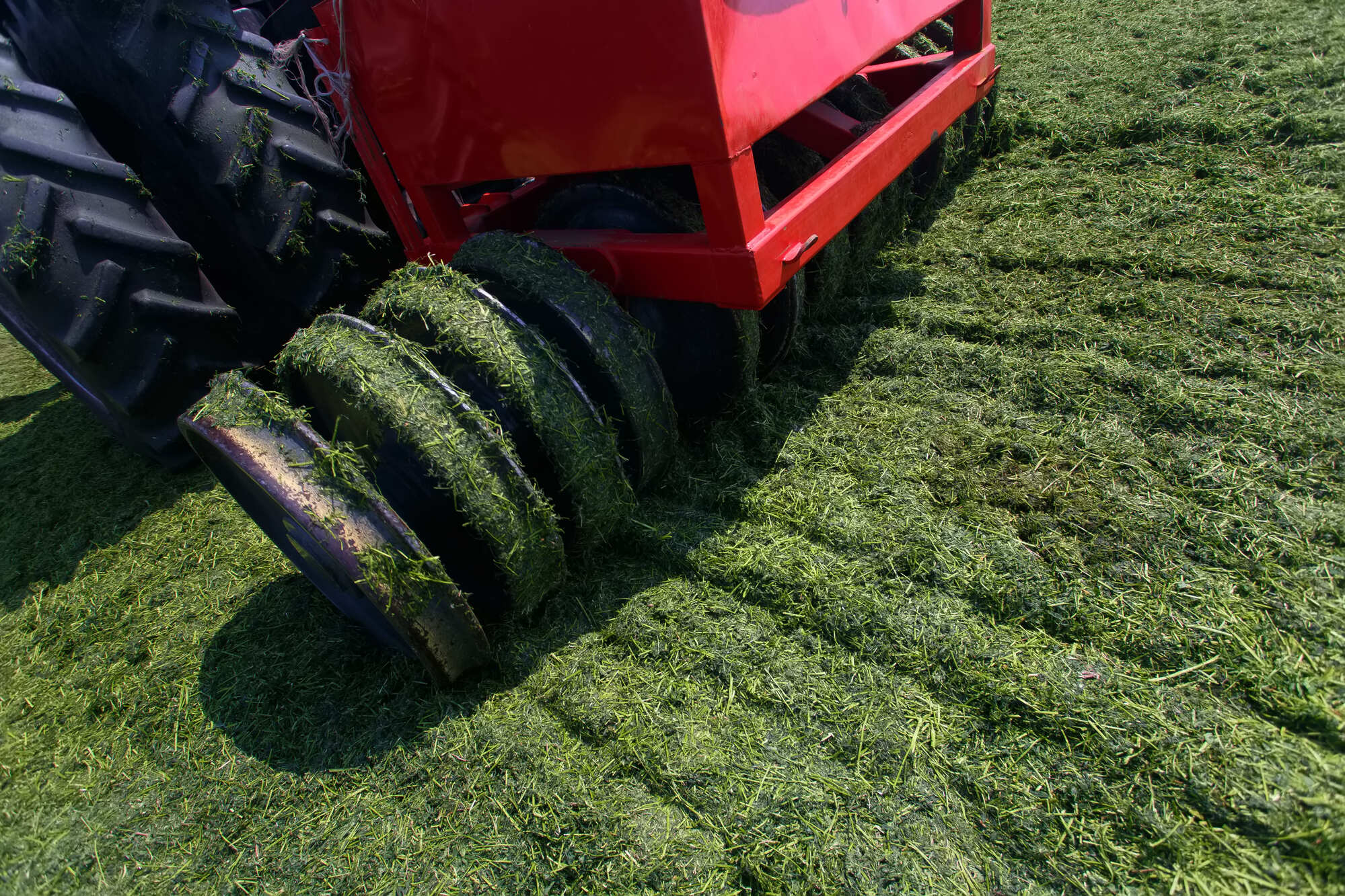 Lawn Aeration Services in La Plata