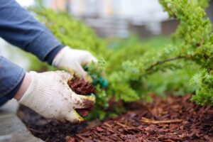mulching services