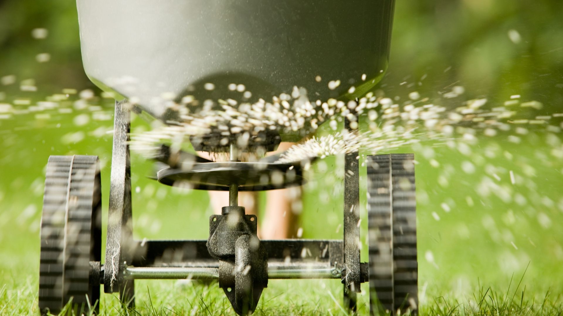 Maryland lawn fertilization service spring application